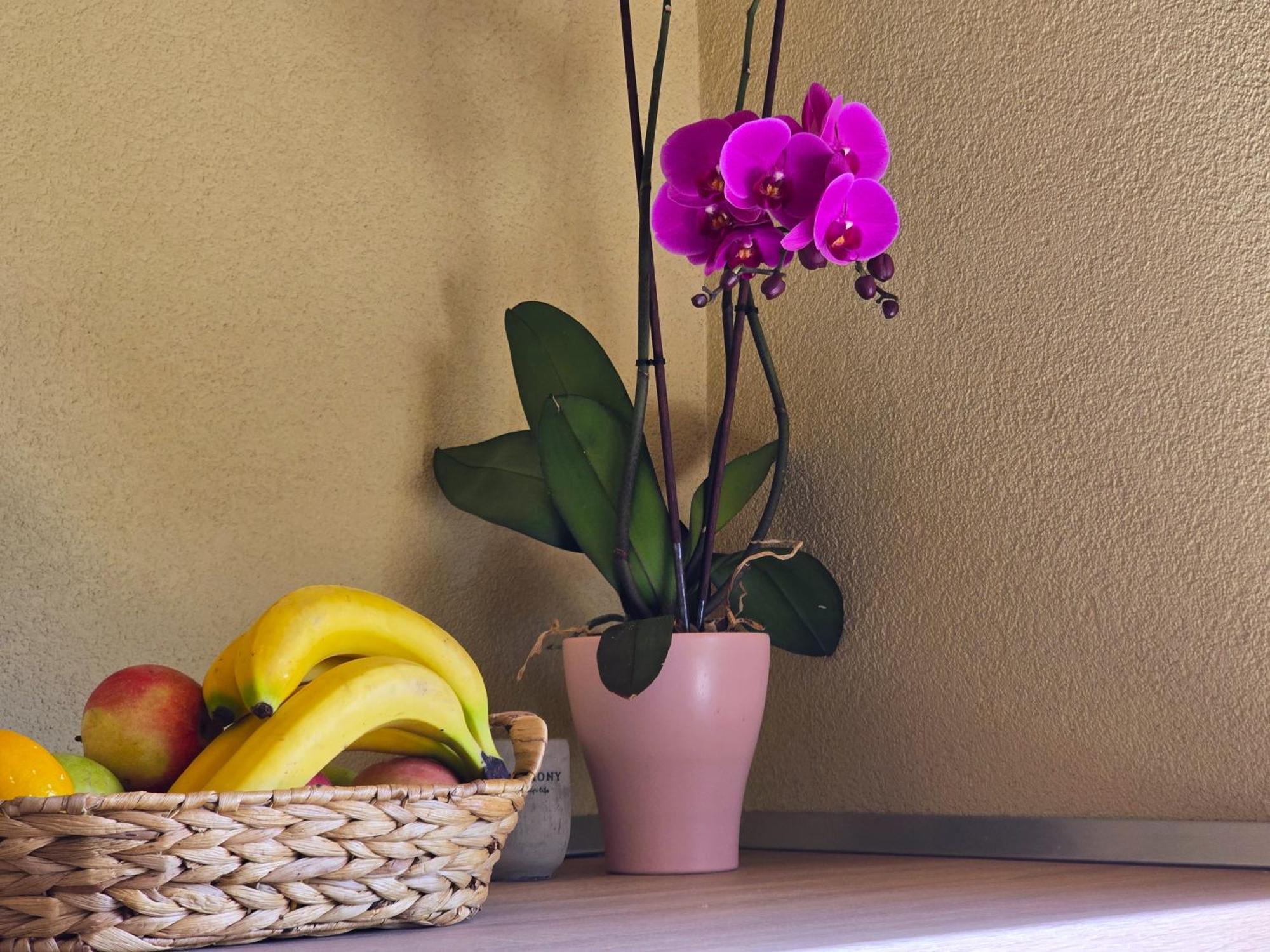 & Chiara Guest house 3*